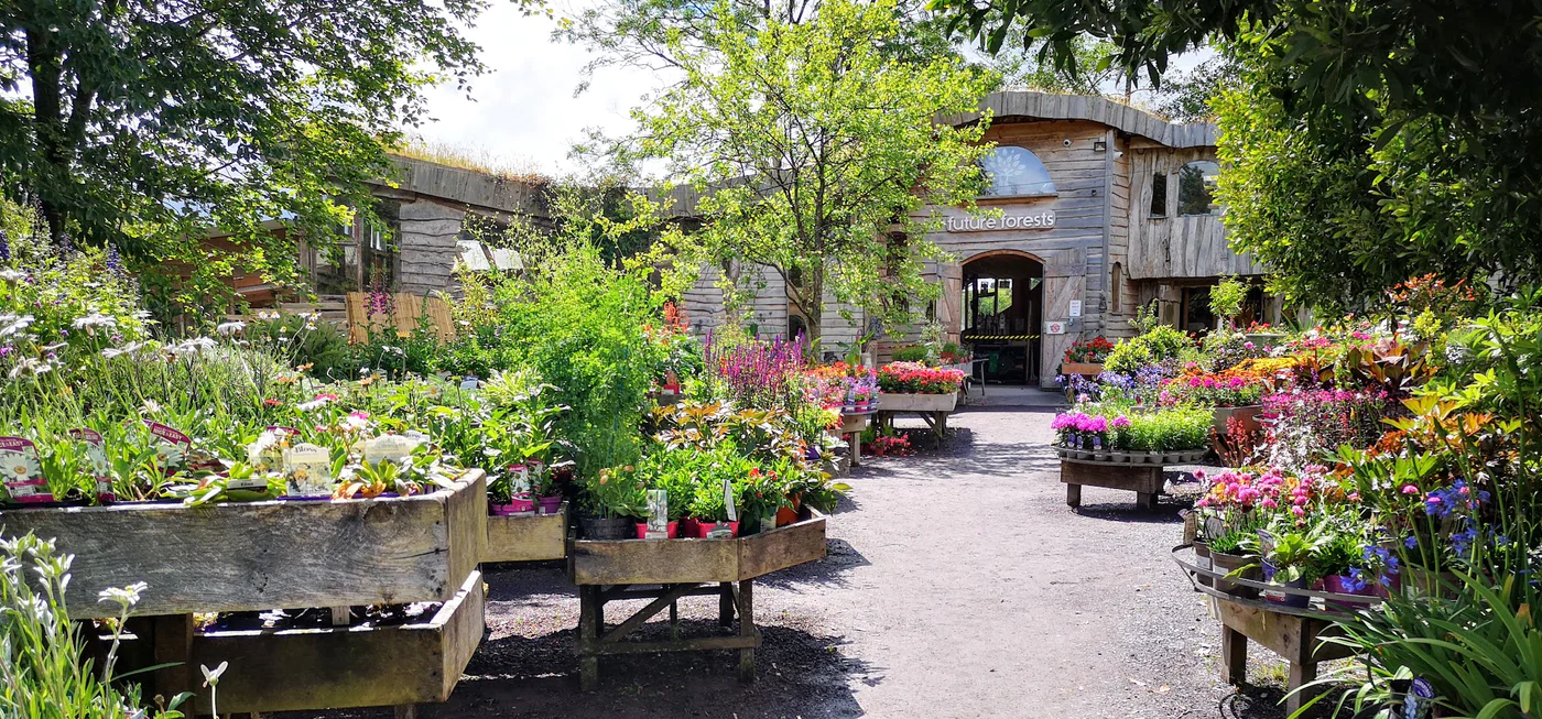 Future Forests Store -Future Forests Store 1