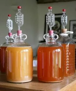 Future Forests Fruit Apple Sweet Pethyre