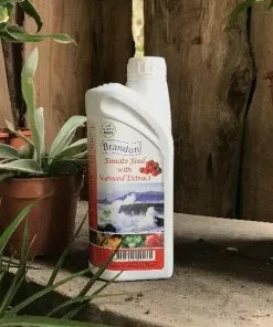 Future Forests Brandon Tomato Food With Irish Seaweed Extract