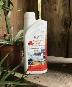 Future Forests Brandon Tomato Food With Irish Seaweed Extract