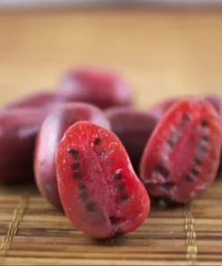 Future Forests Fruit Kiwi - Actinidia Arguta Ken's Red - Female