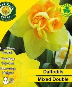 Future Forests Daffodil - Mixed Double Bulbs
