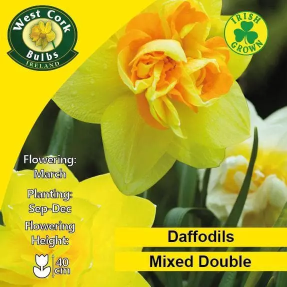 Future Forests Daffodil - Mixed Double Bulbs 4 Future Forests Daffodil - Mixed Double Bulbs