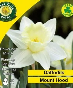 Future Forests Daffodil Mount Hood 12 Future Forests Daffodil Mount Hood