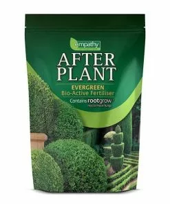 Future Forests RHS Empathy Afterplant - Evergreen Evergreen Hedging