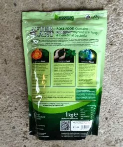 Future Forests Roses RHS Empathy Afterplant - Rose