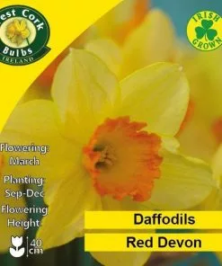 Future Forests Daffodil Red Devon