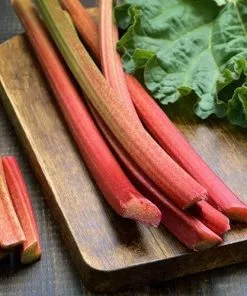 Future Forests Rhubarb Timperley Early Fruit 9 Future Forests Rhubarb Timperley Early Fruit