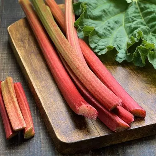 Future Forests Rhubarb Timperley Early Fruit 6 Future Forests Rhubarb Timperley Early Fruit