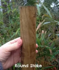 Future Forests Tree Stake Trees