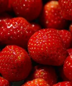 Future Forests Strawberry Cambridge Favourite