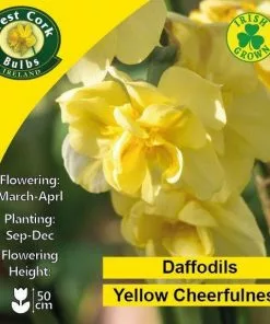 Future Forests Daffodil Yellow Cheerfulness Bulbs