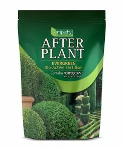 Future Forests RHS Empathy Afterplant - Evergreen Evergreen Hedging