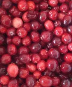 Future Forests Cranberry Pilgrim Fruit 8 Future Forests Cranberry Pilgrim Fruit