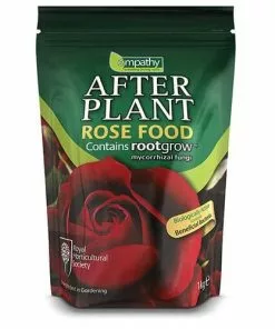 Future Forests Roses RHS Empathy Afterplant - Rose