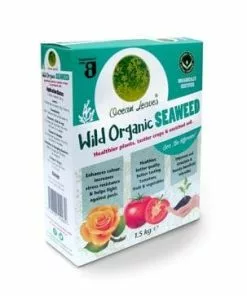 Future Forests Ocean Leaves Seaweed