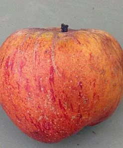 Future Forests Apple Peach Melba