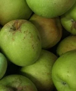 Future Forests Fruit Apple Sweet Pethyre