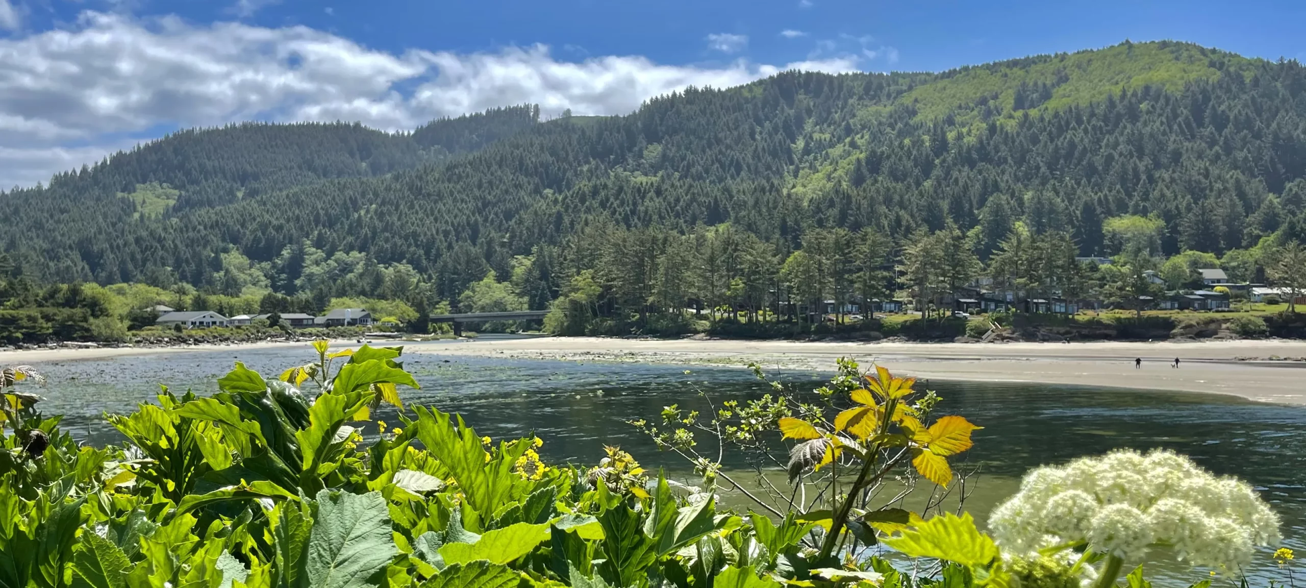 Future Forests Store -Future Forests Store 3 scaled