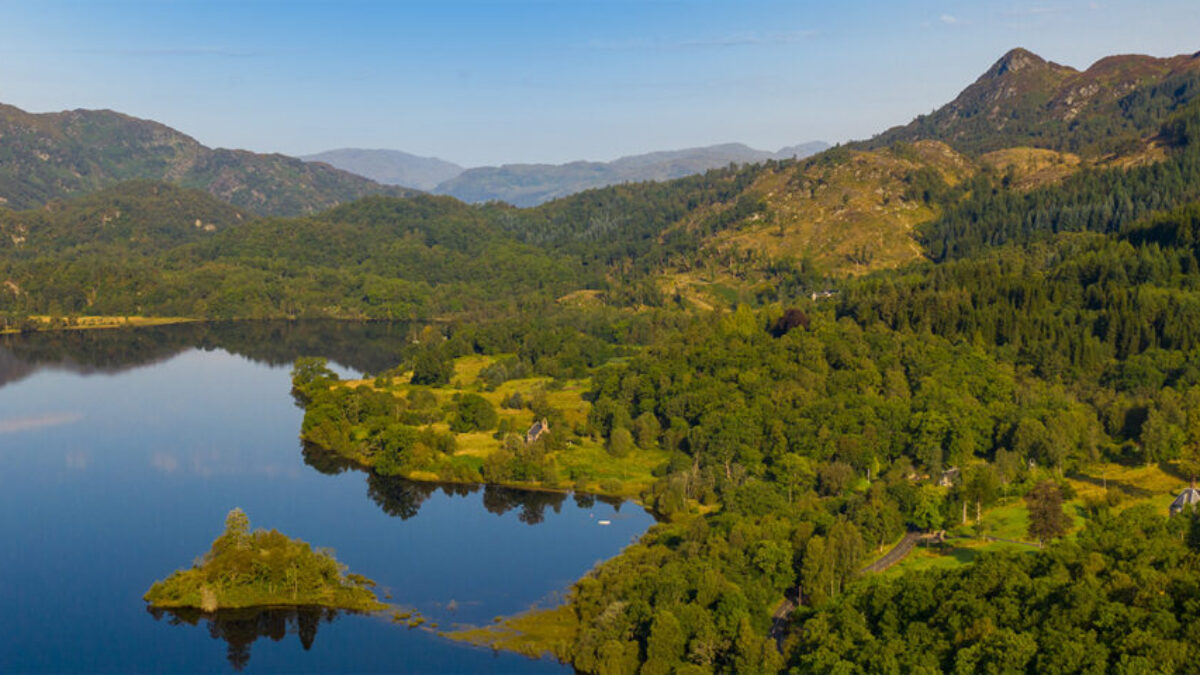 Future Forests Store -Future Forests Store 4