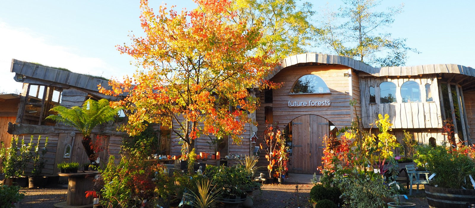 Future Forests Store -Future Forests Store 361